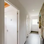Dos Lucas Oros Bajo